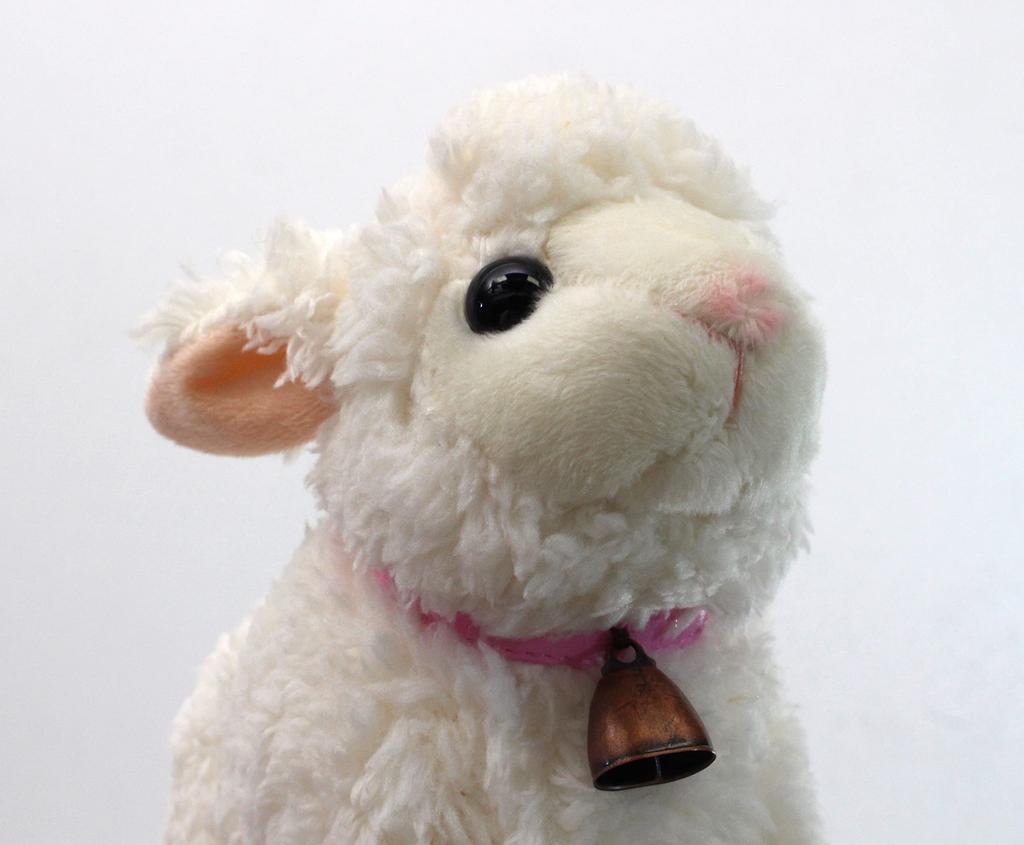 Take Off Sunny Farm Sheep Female