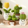 Crochet Cactus Potted Plants, Handmade Knitted Cactus for Home Office Car Decoration, Decorative Plants for Lasting Beauty, Gift for Women Family