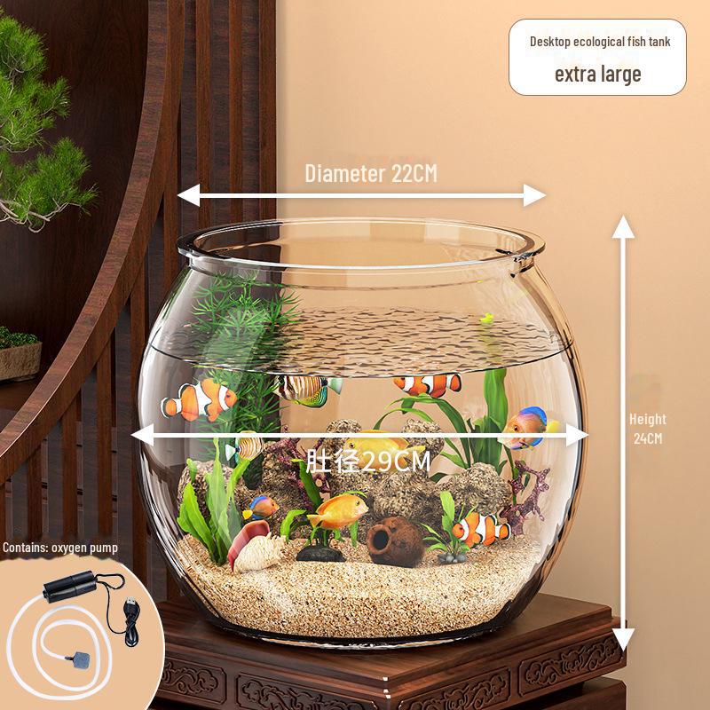 Creative Goldfish Aquarium Compact Creative Goldfish Aquarium