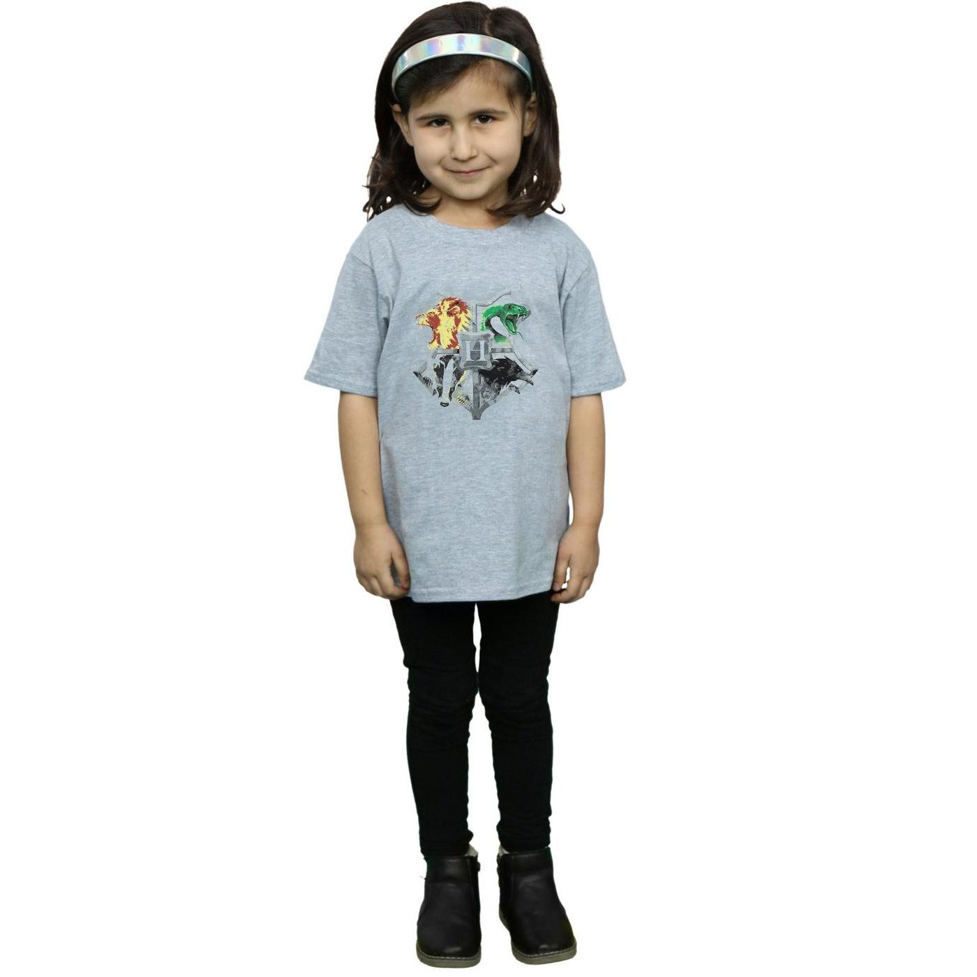 Harry Potter Bambine e ragazze Hogwarts Painted Crest Maglietta