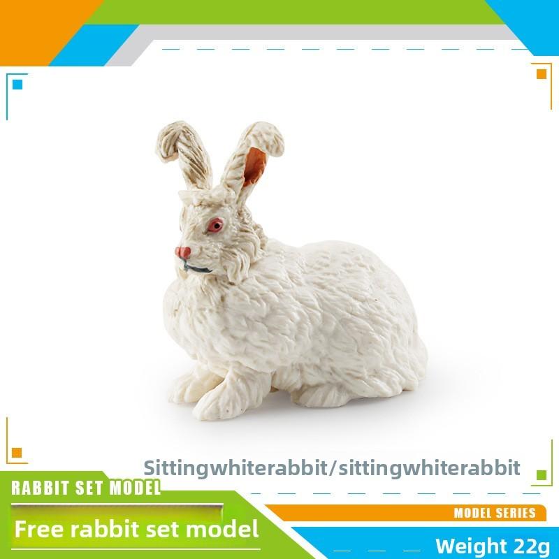 Wildlife Station Simulated And Sitting Posture Model Desktop Ornament For Kid