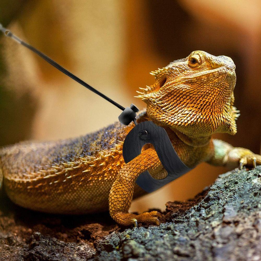 3 Pack Adjustable Bearded Dragon Leash Harness Set Escape-Proof Lizard Leash  Small Animal Pets