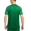 Nike Dri Fit Academy T Shirt Men's Pine Green IB8761-302