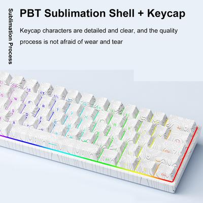 Wired Mechanical Keyboard 61 Keys HotSwap Gaming Keyboard with Adjustable LED Lights Magnetic