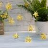 Lumina Stea Metalică pentru Decor - 1 buc, 4 metri, 10 LED-uri, Lumini Decorative, Lumini pentru Decor Acasă, Decor