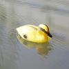 Floating Duck Decoy Cute Vivid Ducklings Fish Pond Ornament Plastic Decoy Yellow Floating Duckling Decoys Pond Decoration