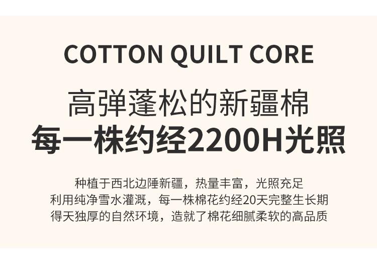 All Cotton Xinjiang Cotton Handmade Quilt Core
