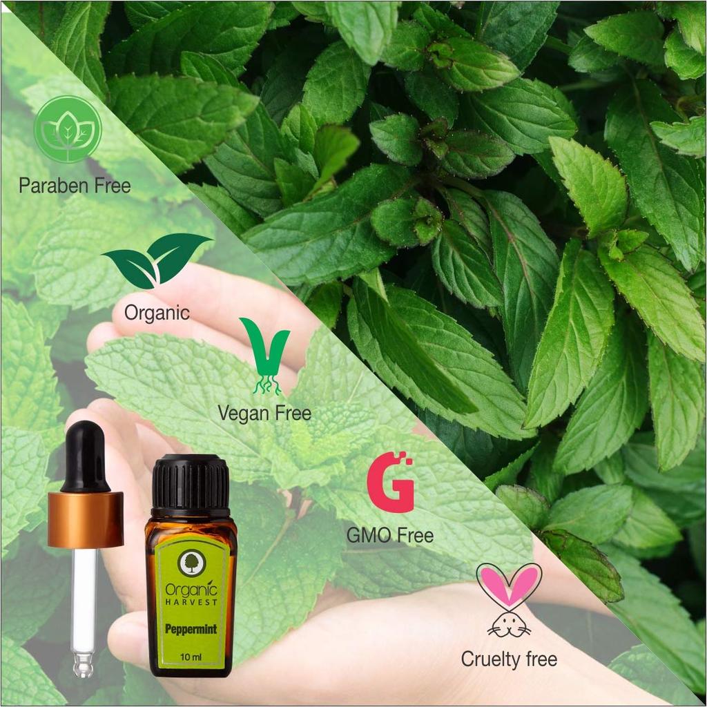 Peppermint Essential Oil (10 Ml), Peppermint Essential Oil, Organic Harvest