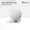 Hauswirt HE-66 Stainless Steel Digital Kitchen Scale (CN Version)