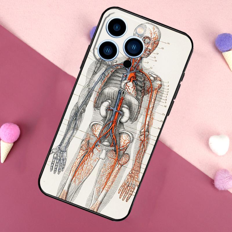 Medical Human Organs Brain Phone Case For iPhone 16 15 13 12 11 14 Pro Max Mini X XR XS MAX 14 Plus Cover
