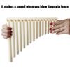 18 Pipes Pan Flute Portable Wind Instrument Beginner Friendly C Scale Panpipe  Musical Performance