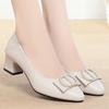 fashion 2024 Woman Elegant Square Toe Beige Shoes Heel Female Metal Accessories Shoes Comfortable Cute Shoes Simple Mid Heels Fashion