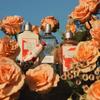 LOCCITANE Rose Hand Cream 30mL Moisturizing