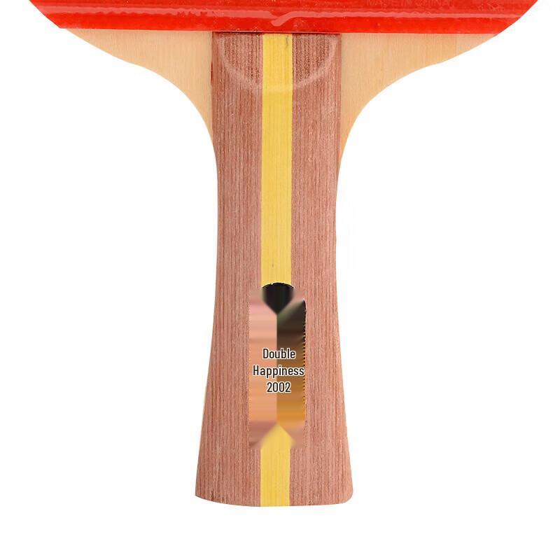DHS H2002 2-Star Table Tennis Racket