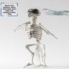 Halloween Dark Animal Skeletons For Haunted House Decor