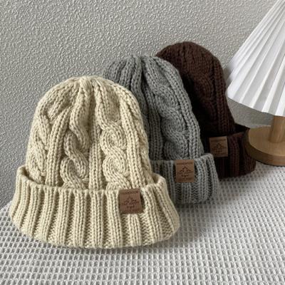 New Thickened Knitted Hat Men and Women's Winter Padded Warm Ear Protection Windproof Casual Wool Cap