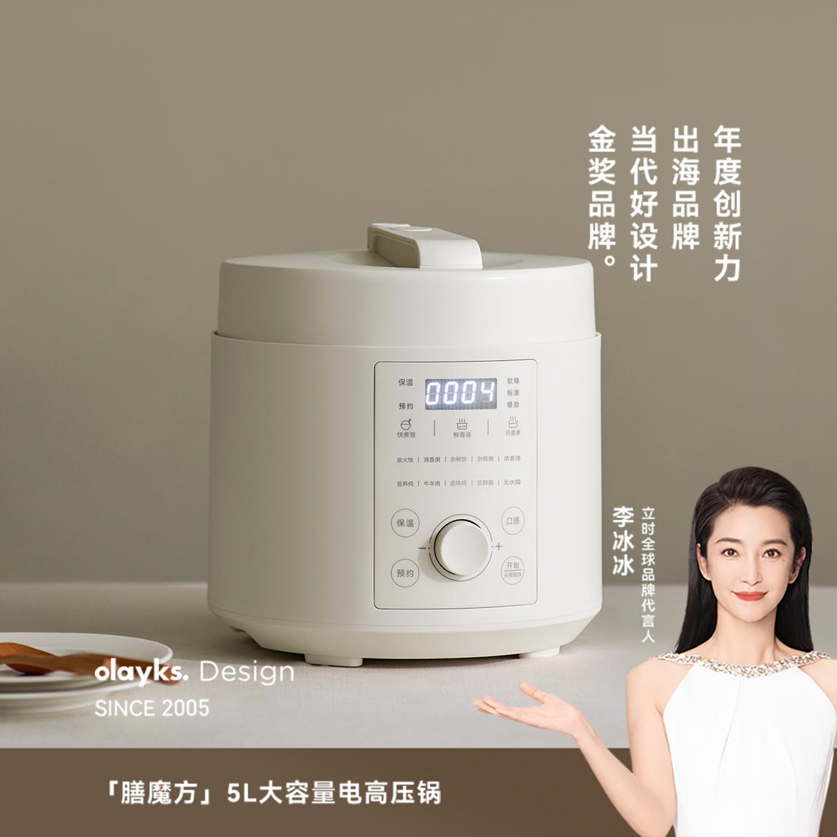 Olayks 5L Electric Pressure Cooker Single