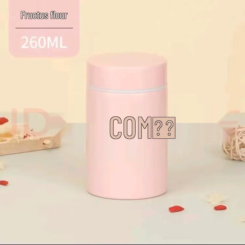 GiNT Mini Insulated Food Jar