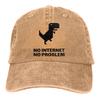 Adjustable Solid Color Baseball Cap NO INTERNET Washed Cotton Trex Cactus Offline Funny Games Sports Woman Hat