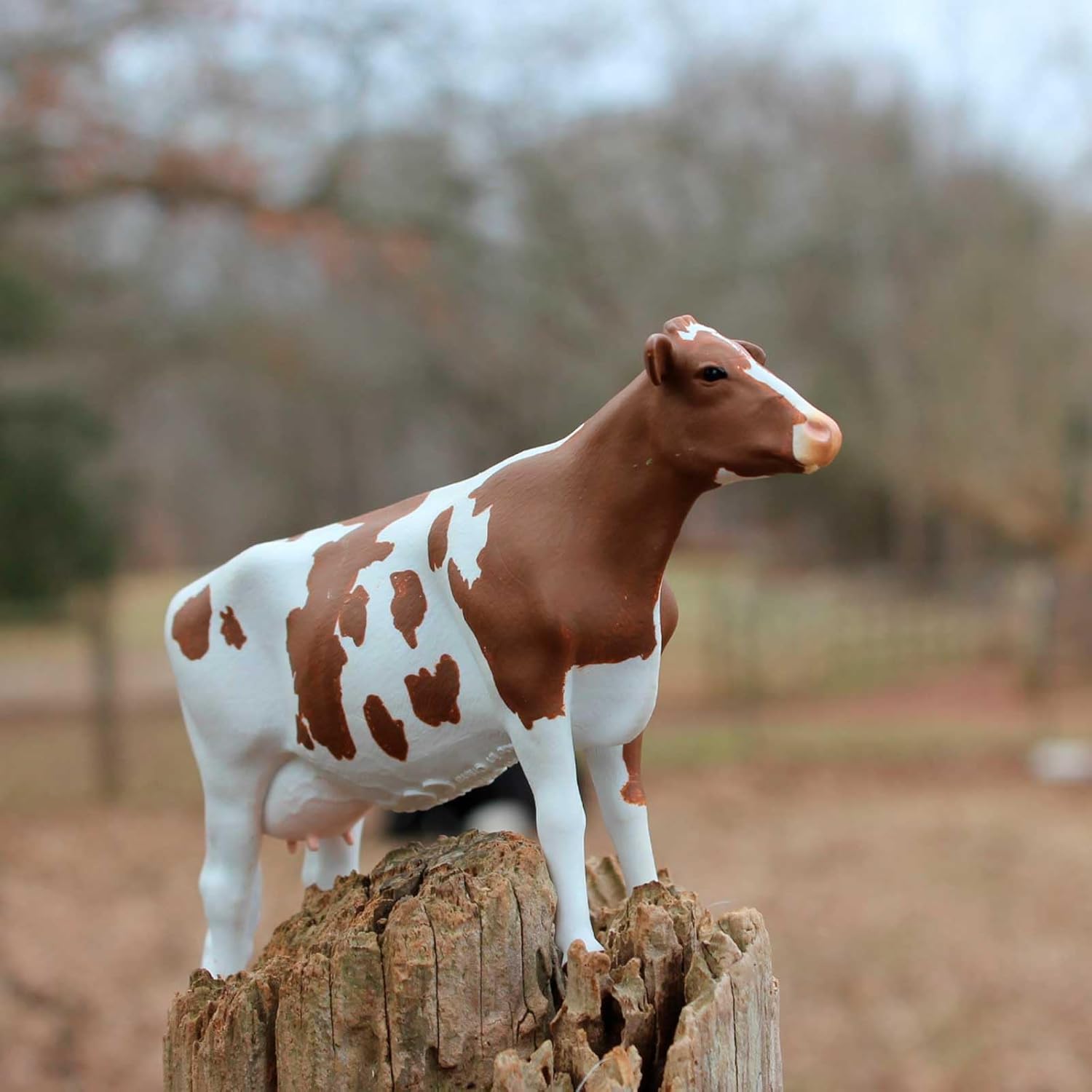 Safari Ltd. Ayrshire Cow Figurine - Lifelike 5.25  Model Figure - Educational Toy for Boys, Girls, and Kids Ages 3+
