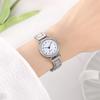Fashion Small Dial Women Watches Luxury Quartz Wristwatches for Women Clock Gift Reloj Mujer