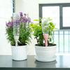 Potted Plant Watering Tool3Personal Household Automatic Drip Irrigation Watering Device Timed Watering Travel Suitable Watering