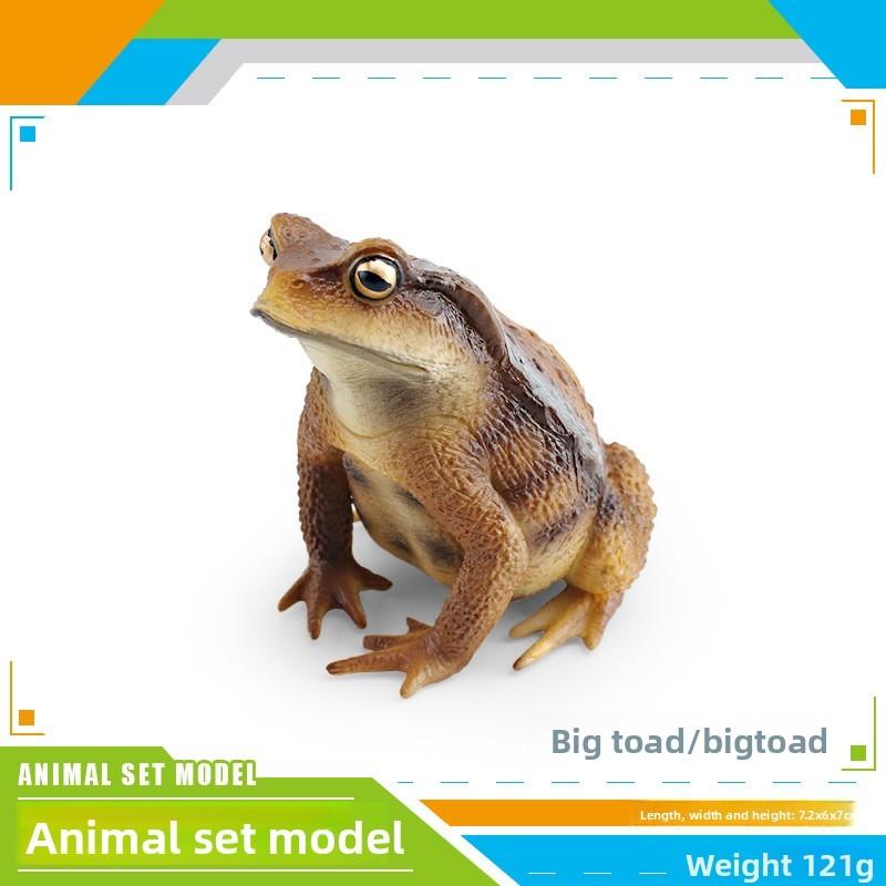 Childrens Wild Animal Pvc Collection With Realistic Tree Frog And Toad Figurines For Educational Play