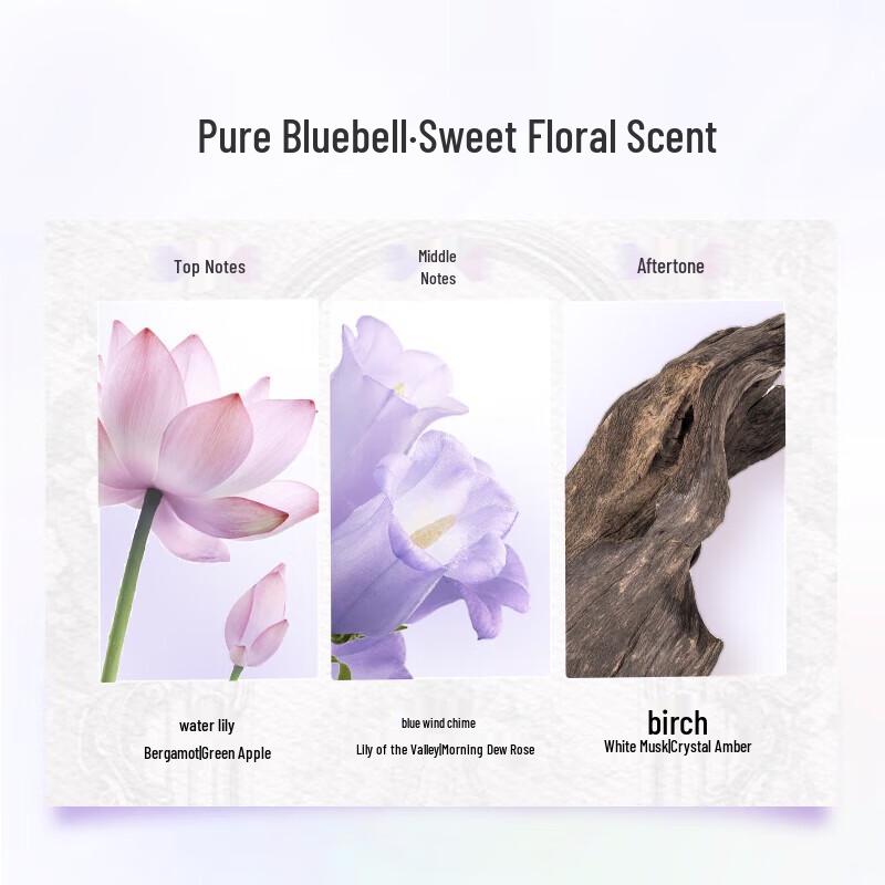 LUX Essential Oil Pure Blue Wind Chimes Shampoo 470g