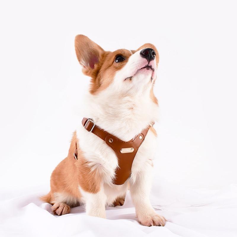 Loudik Soft Leather Dog Chest Strap Pet Leash Set Walking Leash Puppy Strap Small and Medium Dog Out Accessories Wholesale