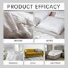 Bedbug Killing Spray Kils Bed Bugs Eggs Prevent Fleas And Bed Bug Bites
