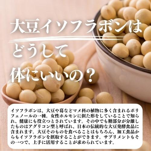 Shizen Kenkosha Soy Isoflavone Powder, 100g X 2 Packs, Aglycone-type Supplement, Powder