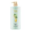 Shu Lei Green Tea Seed Oil Control Anti-Dandruff Shampoo