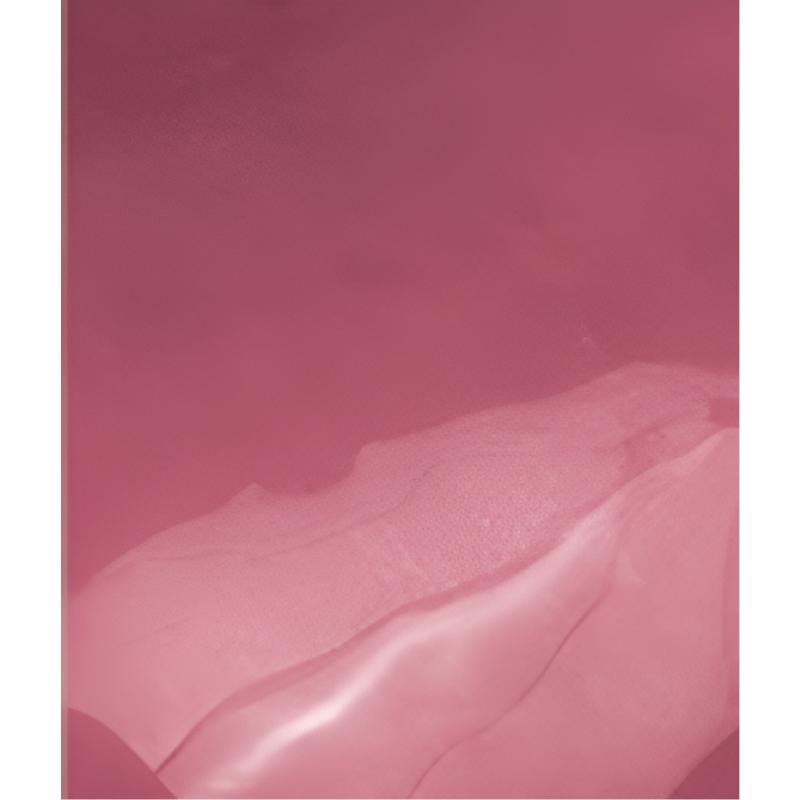 Rom&nd The Juicy Lasting Tint