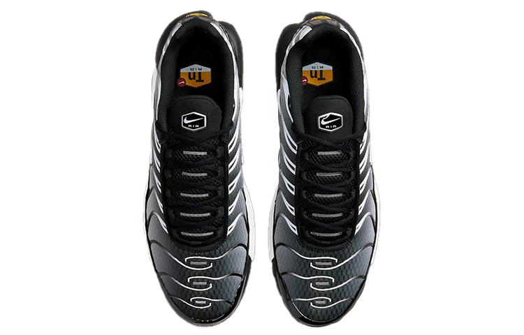 Nike Air Max Plus 'Black Metallic Silver' DM0032-003