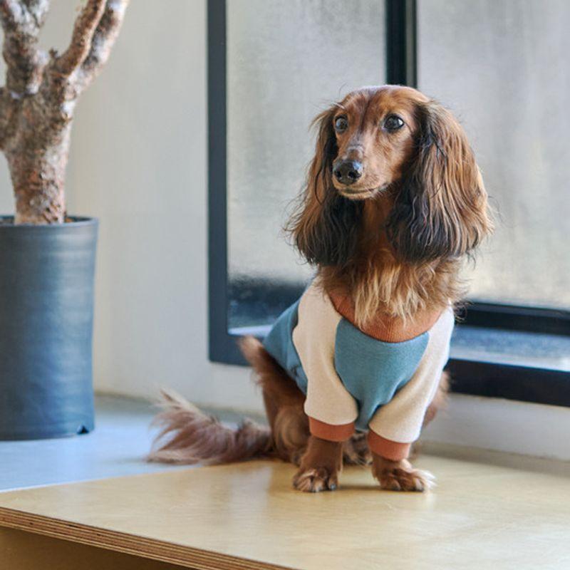 MUNIKUND Ari Pullover - Blue