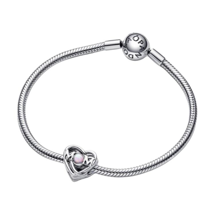 Pandora Solid Color Type 925 Silver Bracelet Women bracelets 793233C01 Box
