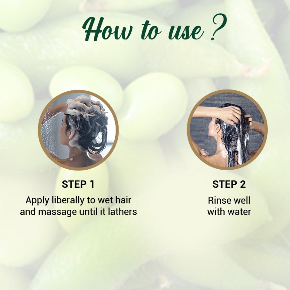 Biotique Sojaprotein Shampoo für trockenes, geschädigtes Haar 120ml pH-Balance Gesunder Glanz Farbschutz Natürliche botanische Extrakte