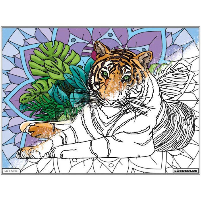 Velvet Coloring Board The Tiger