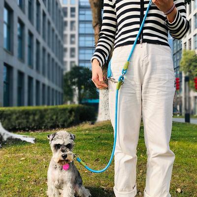 Reflektierende Nylonleinen, Ketten-Traktionsseilleinen für Hunde zum Laufen, Gassigehen mit dem Hund, Seilkette mit freihändiger Bedienung für kleine und große Hunde