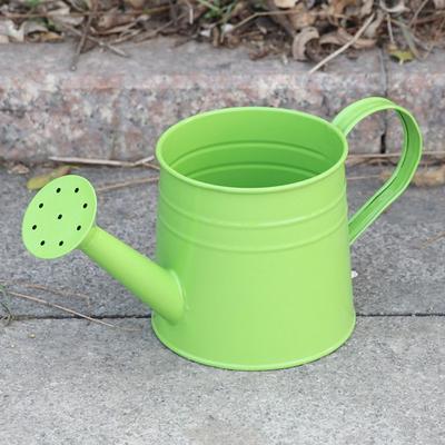 Mini Metal Watering Can Home Garden Watering Pot Large Capacity Plants Decorations for Children