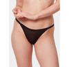 Triumph Signature Sheer Thongs
