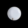 8-Inch Huaqingge Ice Crack Underglaze Ceramic Dinner Plates (Set of 2)