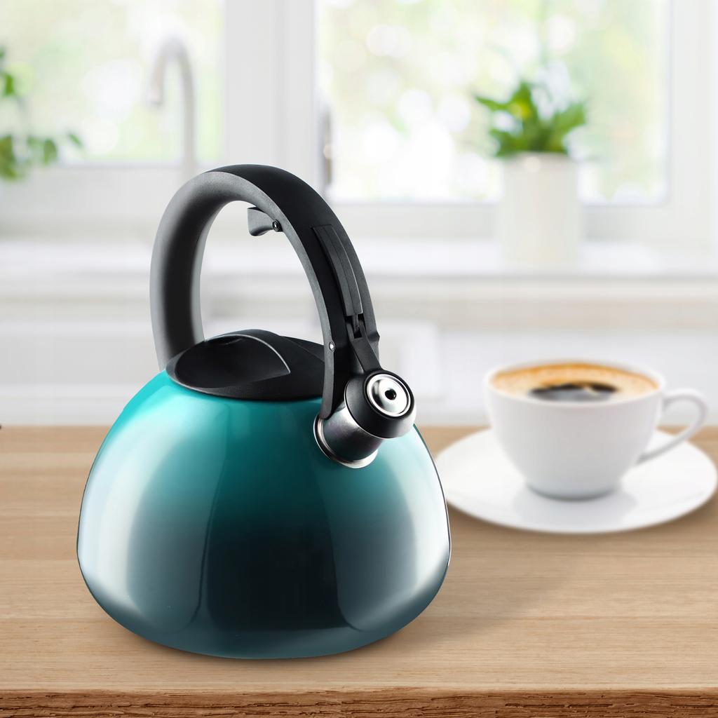 KADAX Kettle With Whistle Gas Induction Steel 2.6L