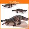 Modèle de Dinosaure Sarcosuchus Pour Enfants Présentoir Éducatif Figurines Jouets en PVC