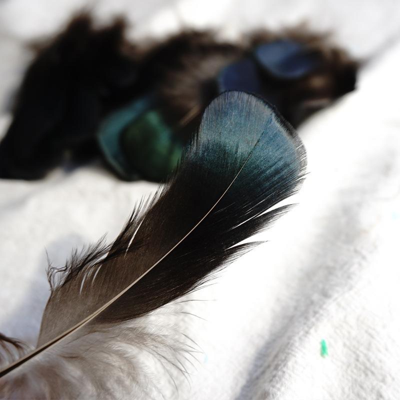 Diverse Pene de Fazan în Culori Primare Materiale DIY Handmade Cercei Băț pentru Pisică Pene Decorative