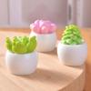 BUYUP Plante Grase Miniaturale în Ghivece, Set de 6, Figurine Drăguțe, Ornamente Liniștitoare Tip Bonsai, Accesorii pentru Masă, Ornamente pentru Hol, Floare