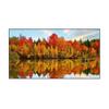 JINGMI Anti-Light Fixed Frame Projection Screen