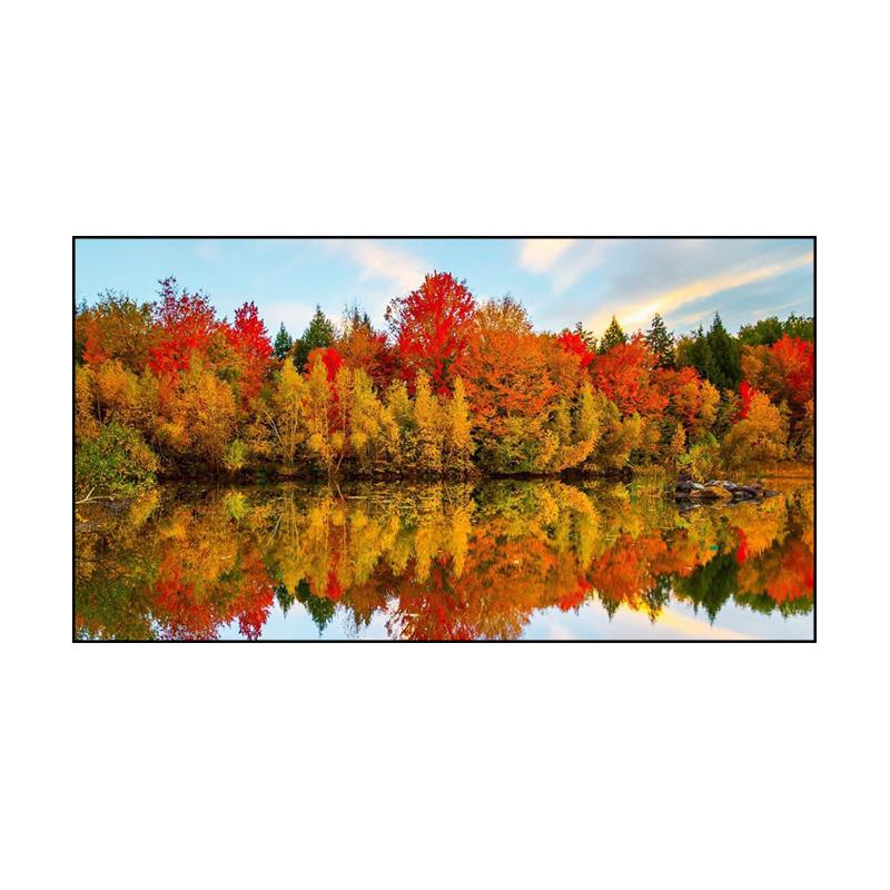 JINGMI Anti-Light Fixed Frame Projection Screen