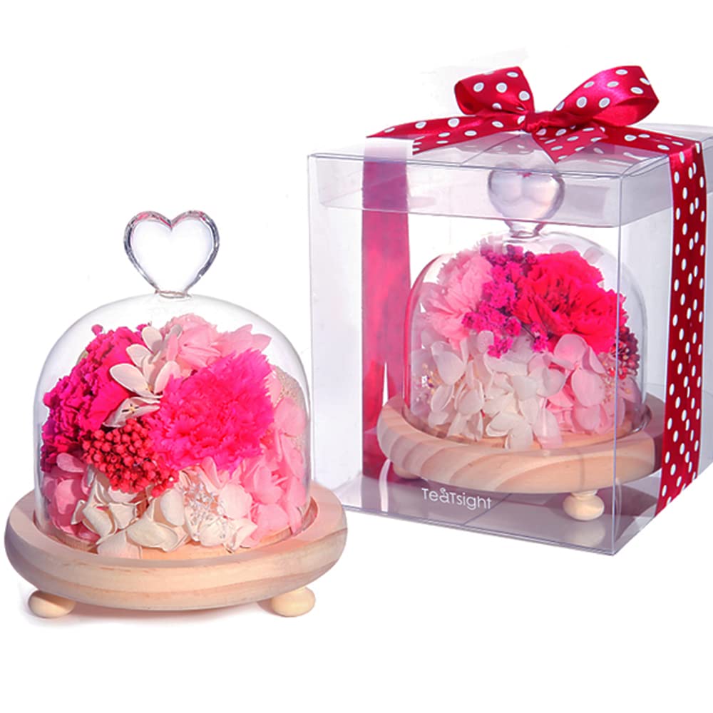 Teatsite Preserved Flower Arrangement, Pre-Wrapped, Heart-Shaped Glass Pot, 3 Flowers (Pink Carnations, Bear Towel Included)