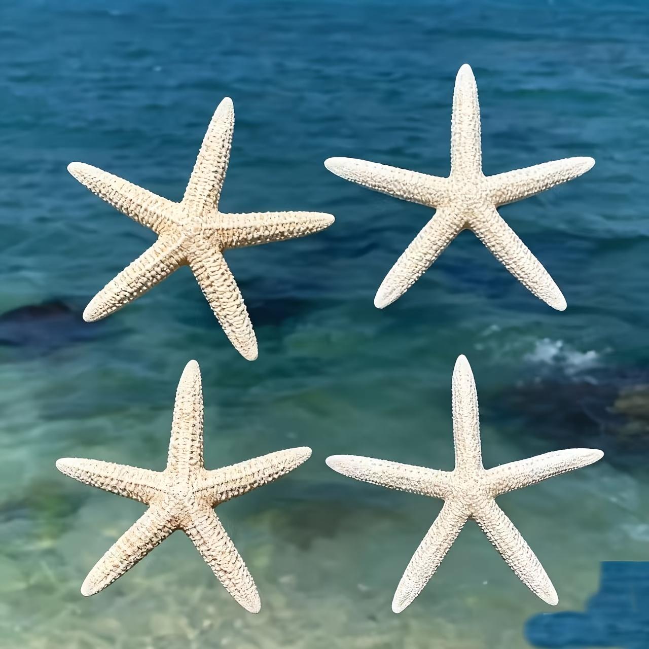 1pcsBohemian style handmade resin starfish set (4 pieces) 3CM бежевый